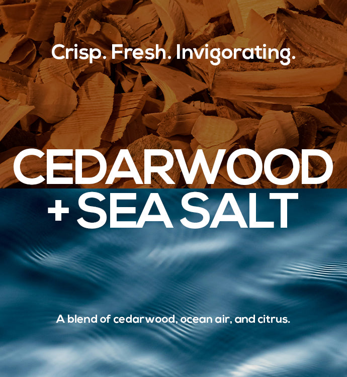 Aluminum-Free Deodorant Stick ?? Cedarwood + Sea Salt Scent - Image 4
